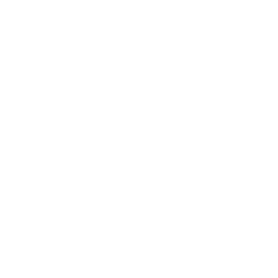 3.1图标